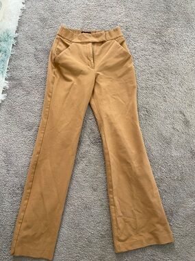 Express Gold Flare Trouser